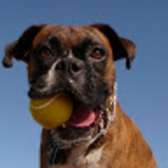 Meet your Posher, Mar - Picture 1 of 1